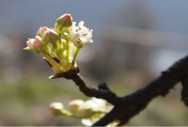 1555061393889380.jpg 2.jpg