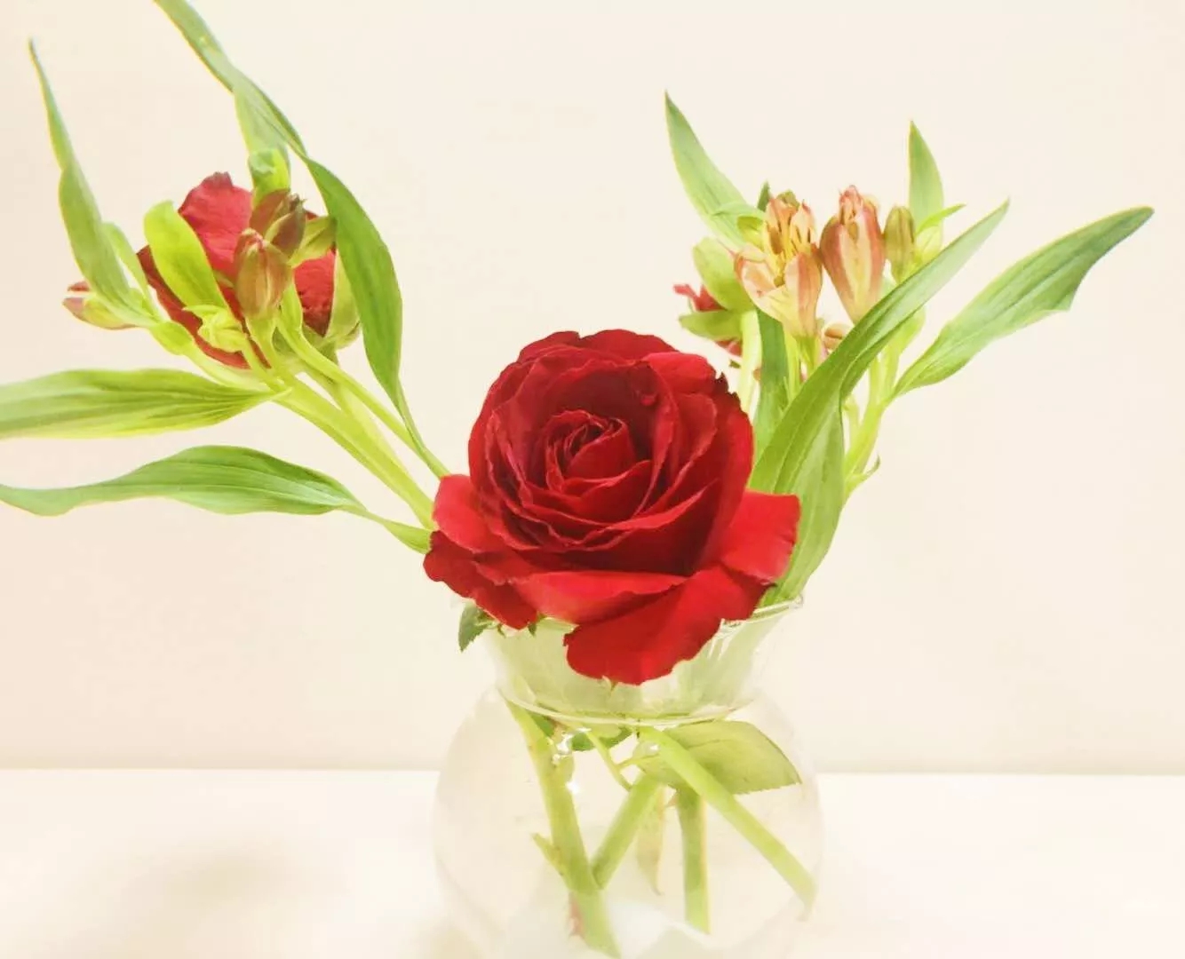 1557111147125846.jpg 0_wps图片.jpg