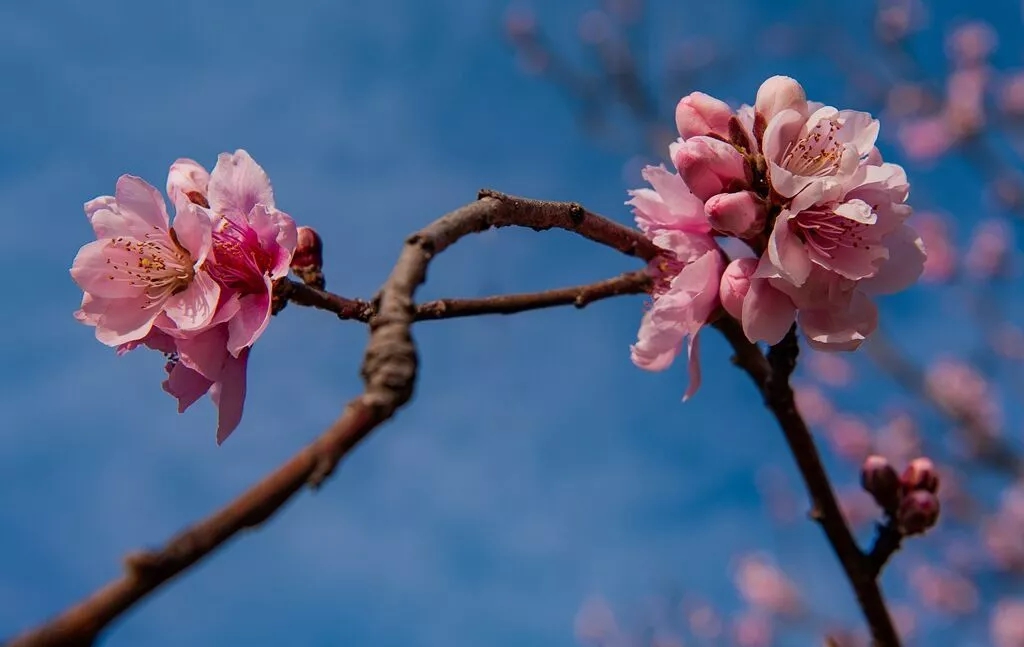 1557111352509065.jpg 2.jpg