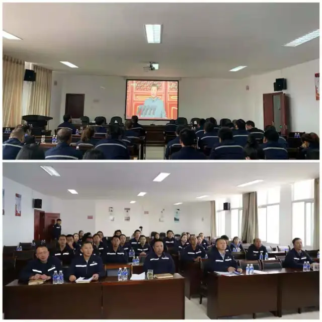 1625121363115927.jpg 2.jpg