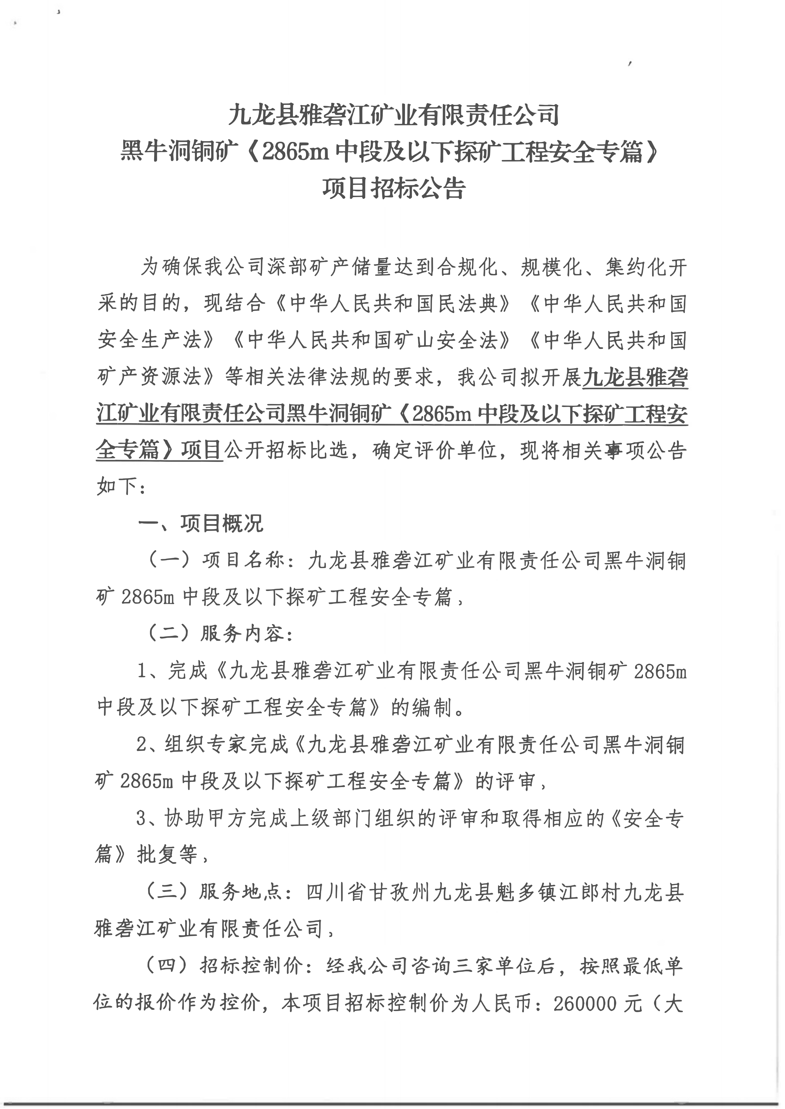 九龙县雅砻江矿业有限责任公司 黑牛洞铜矿《2865中段及以下探矿工程安全专篇》项目招标公告_01.png